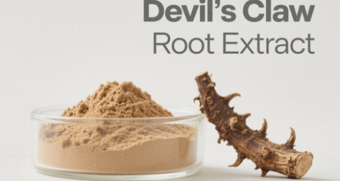 Africa Devil's Claw Root Extract
