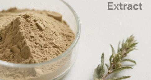 Andrographis Paniculate Extract