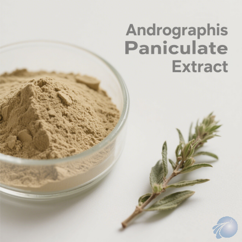 Andrographis Paniculate Extract