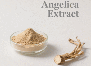 Angelica Extract