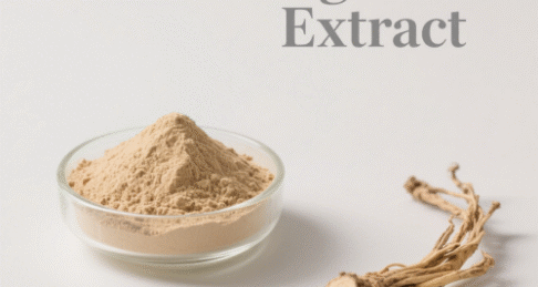 Angelica Extract