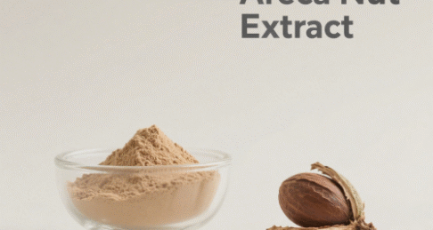 Areca Nut Extract