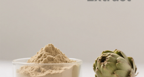 Artichoke Extract