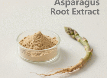 Asparagus Root Extract