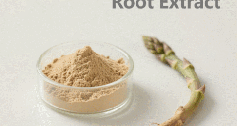 Asparagus Root Extract