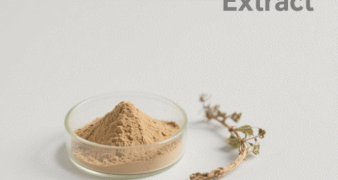 Astragalus Extract
