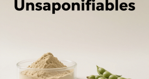 Avocado Soybean Unsaponifiables