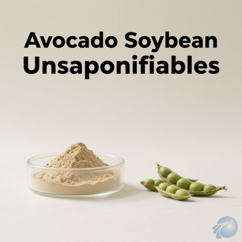 Avocado Soybean Unsaponifiables
