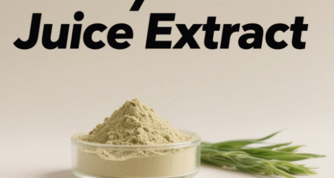Barley Grass Juice Extract