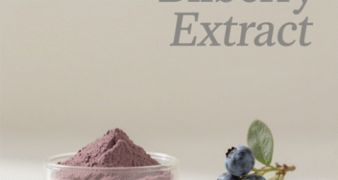 Bilberry Extract