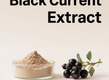 Black Current Extract