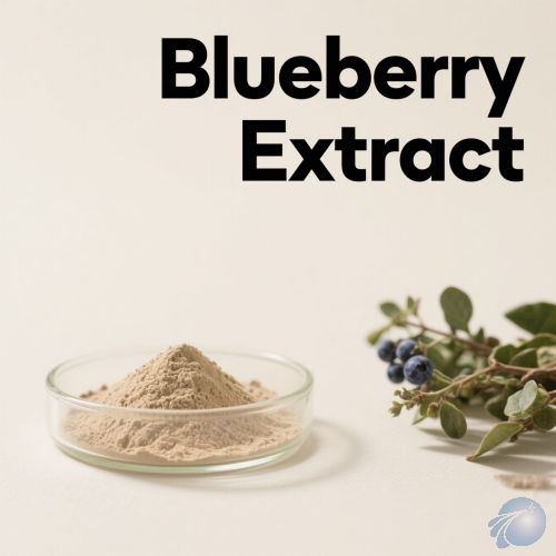 Blueberry Extract