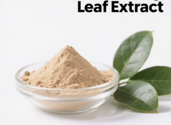 Blueberry Leaf Extract