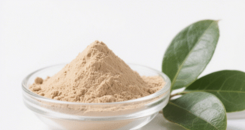 Blueberry Leaf Extract