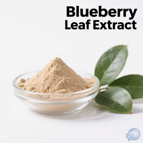 Blueberry Leaf Extract