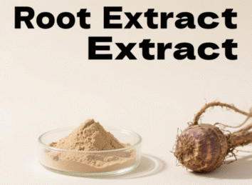 Burdock Root Extract