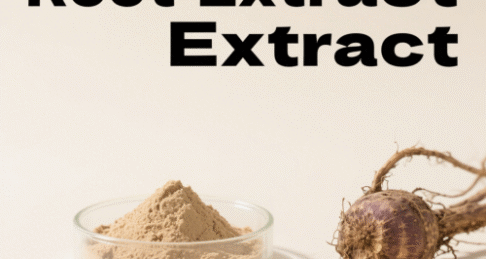 Burdock Root Extract
