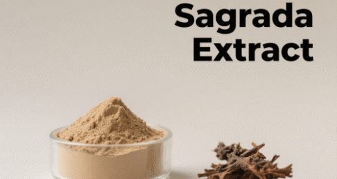 Cascara Sagrada Extract