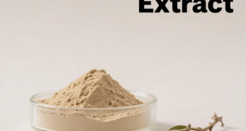 Cassia Nomame Extract