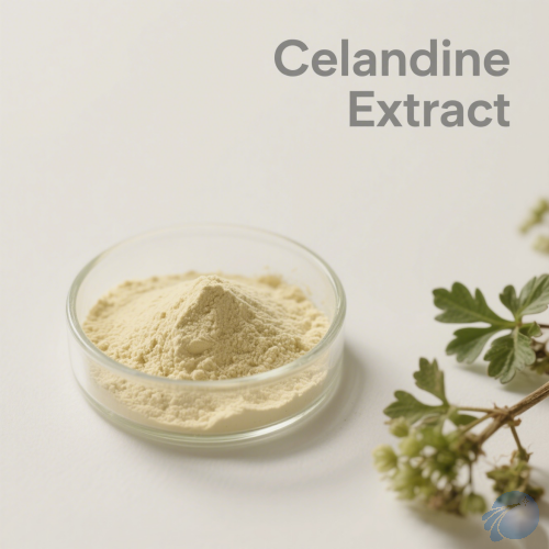 Celandine Extract