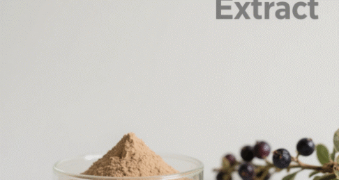 Vitex/Chasteberry Extract