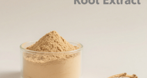 Codonopsis Root Extract