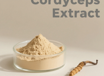Cordyceps Extract
