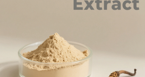 Cordyceps Extract