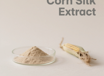 Corn Silk Extract