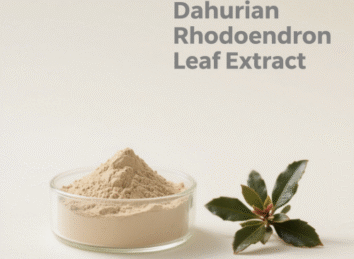Dahurian Rhodoendron Leaf Extract