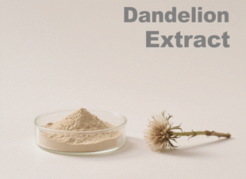 Dandelion Extract