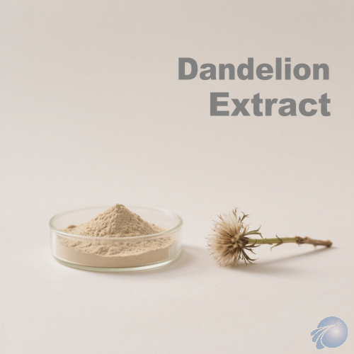 Dandelion Extract