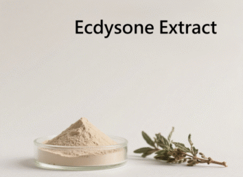 Ecdysone Extract