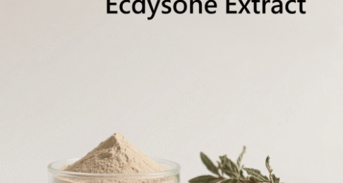 Ecdysone Extract