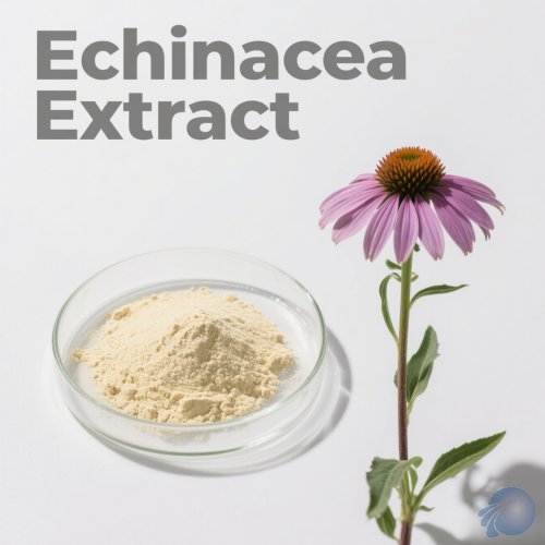 Echinacea Extract