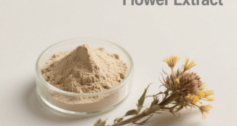 Elecampane Flower Extract