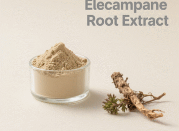 Elecampane Root Extract