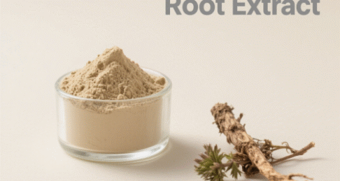 Elecampane Root Extract