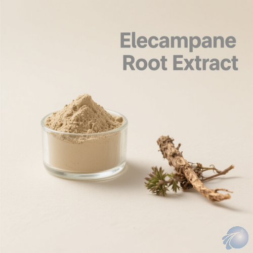 Elecampane Root Extract