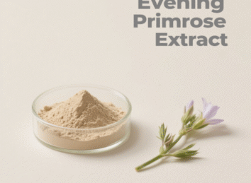 Evening Primrose Extract