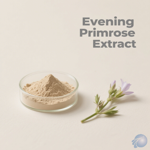 Evening Primrose Extract