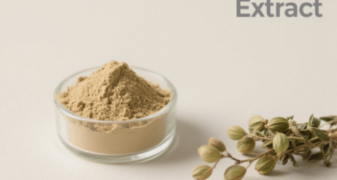 Fenugreek Extract