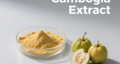 Garcinia Cambogia Extract