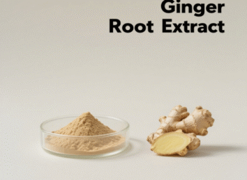 Ginger Root Extract