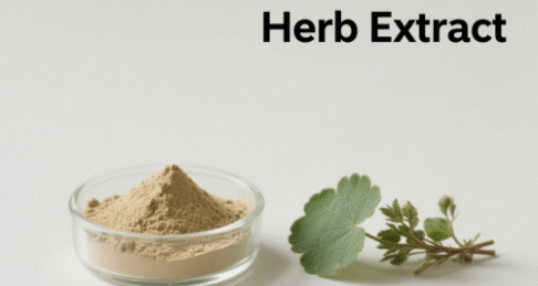 Gotu Kola Herb Extract