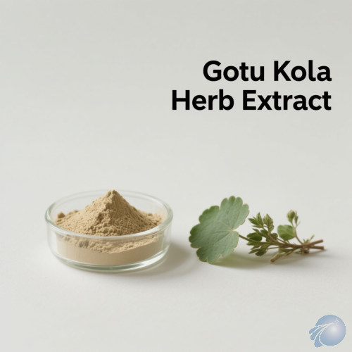 Gotu Kola Herb Extract