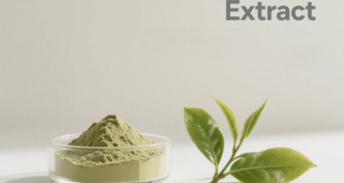 Green Tea Extract