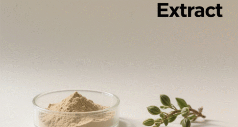 Griffonia Seed Extract