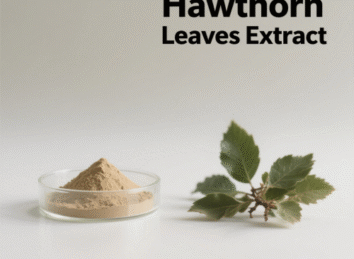 Hawthorn Leaves Extract