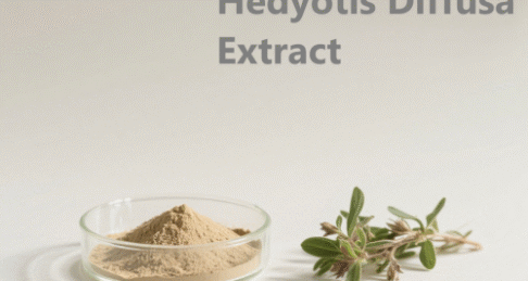 Hedyotis Diffusa Extract